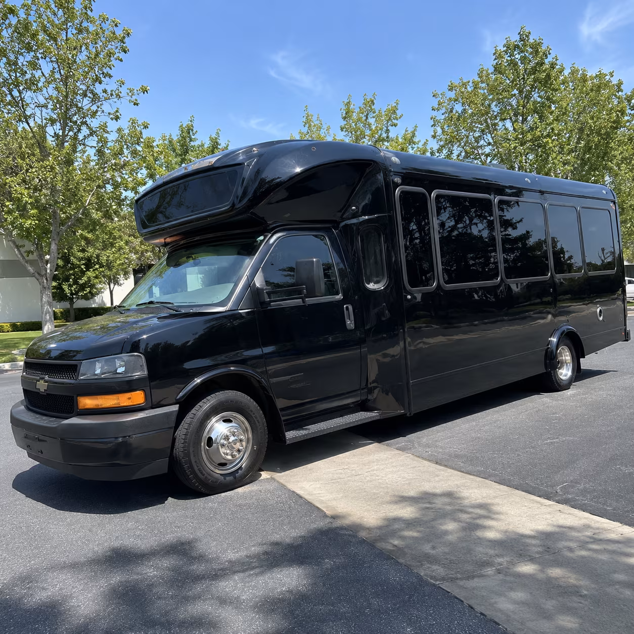 ithaca 15 passenger party bus