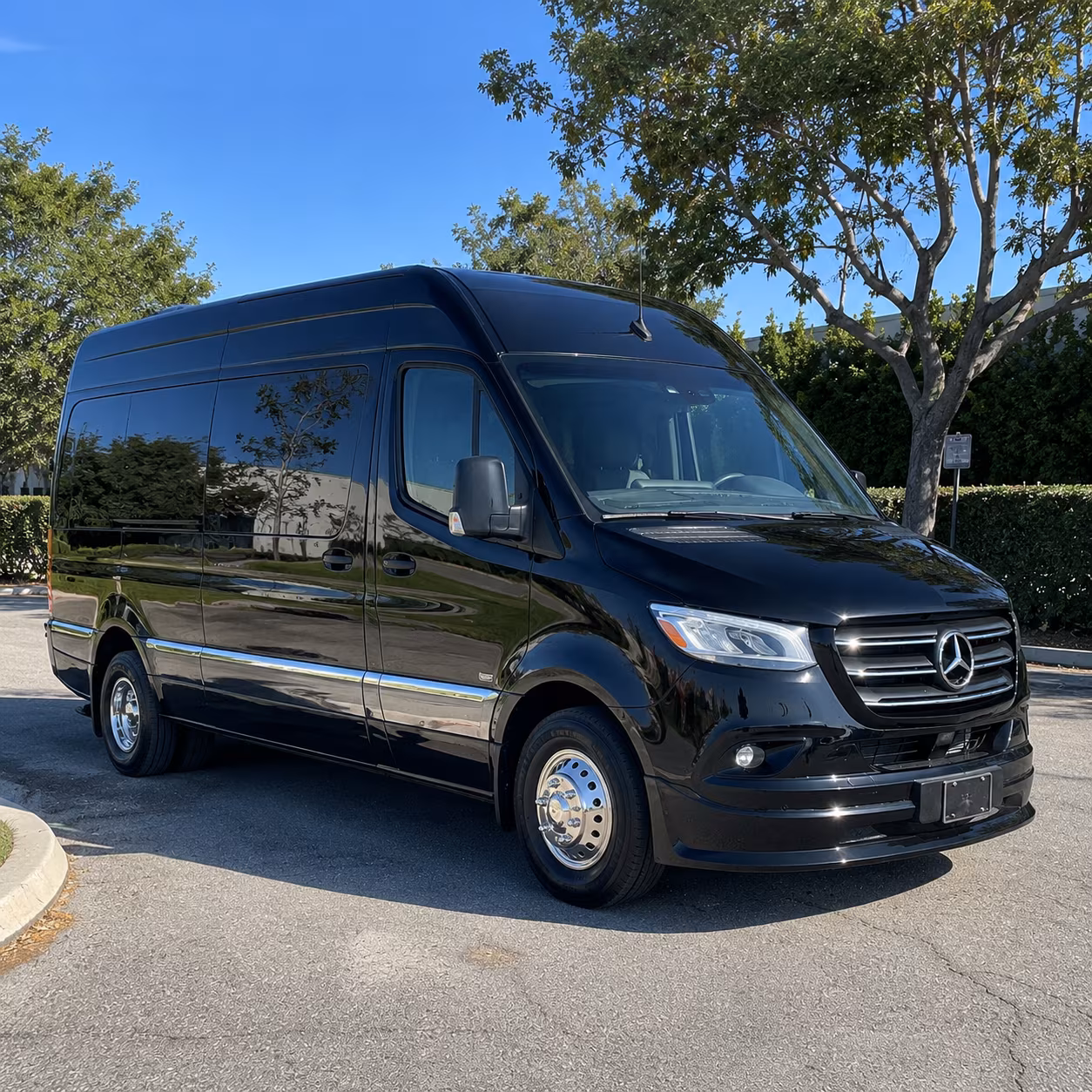 ithaca sprinter limousine